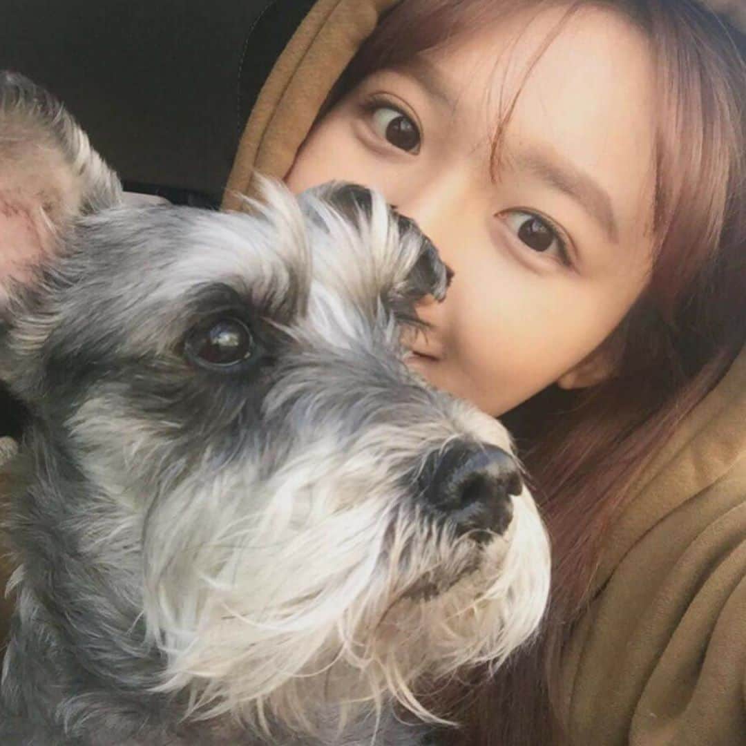 キム・ダヘのインスタグラム：「김미니 진짜 시크하고 귀엽고 웃겼는데 ㅋㅋㅋㅋㅋ바부,, 고생하지말자 미니야아!!!!! 꼬미보고싶으면 고생말구 편하게 가자!!!」