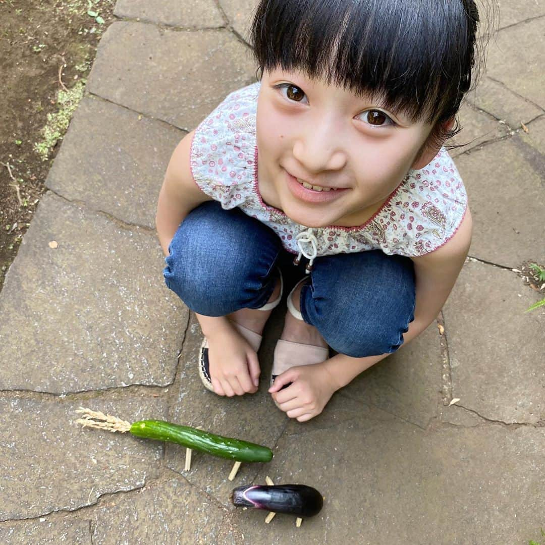 横溝菜帆のインスタグラム