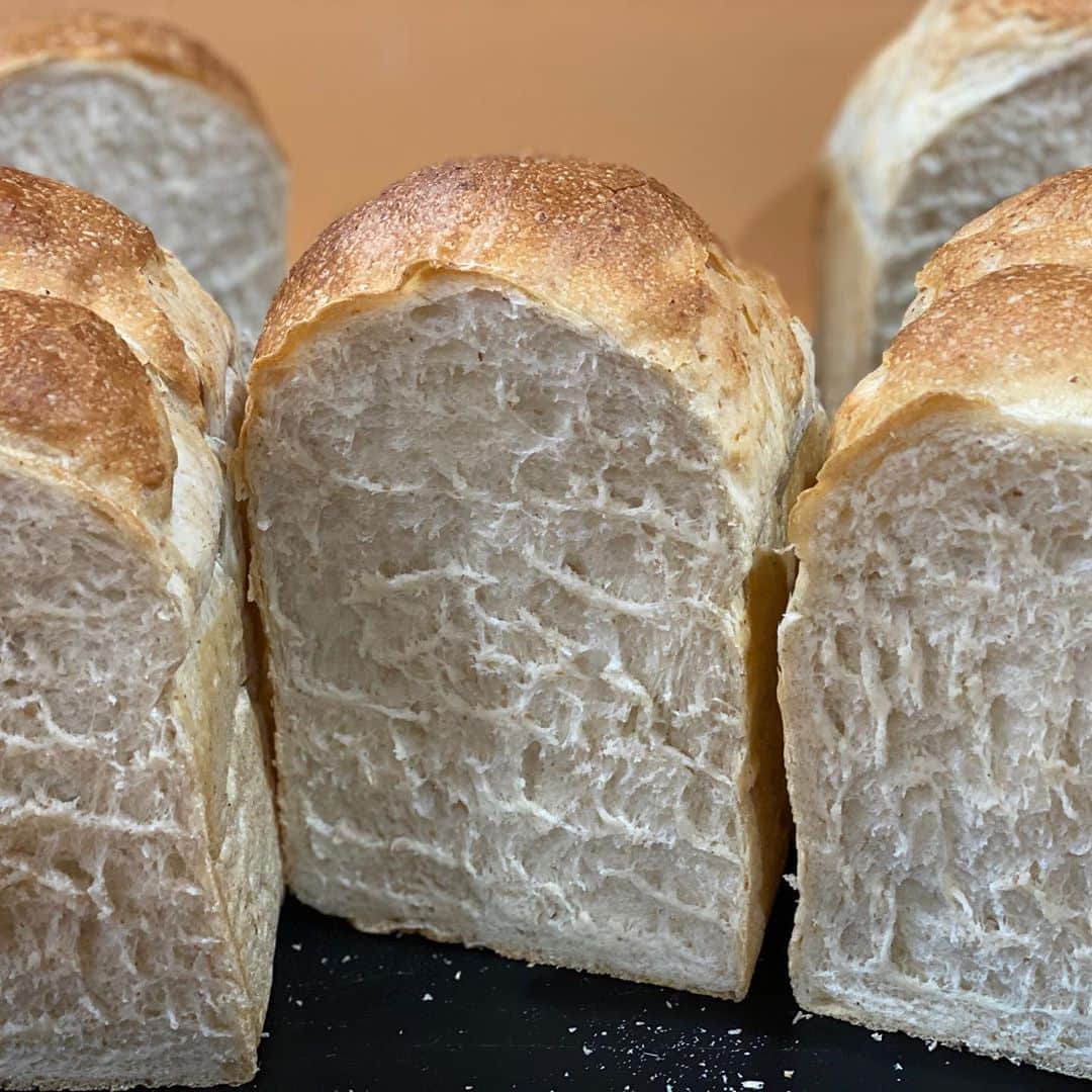 魔女菅原のグルメインスタ