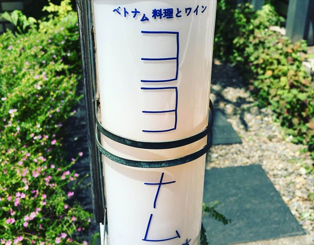 小橋めぐみさんのインスタグラム写真 - (小橋めぐみInstagram)「去年から行きたかった 念願の、ヨヨナム。 たっぷり野菜のカリカリ和え麺🍝 混ぜ混ぜして頂きました。 友人は、豚肉の、なんとか。 暑くなると、アジアン料理を食べたくなります🇻🇳 #ヨヨナム」8月14日 12時04分 - megumikok