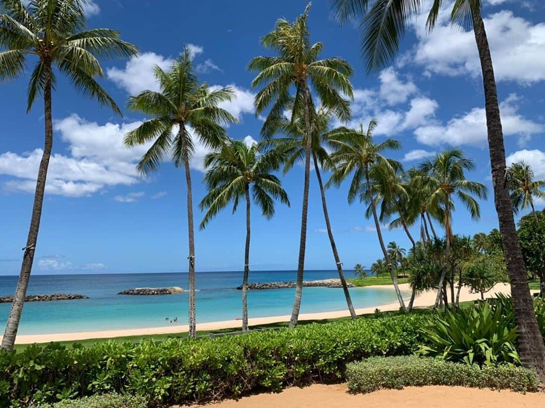 KAUKAU/カウカウハワイさんのインスタグラム写真 - (KAUKAU/カウカウハワイInstagram)「コオリナのビーチ！空も海もブルーで綺麗ですね😆 Such a beautiful day at the beach in Ko'Olina.   #KAUKAU #Waikiki #koolinabeach #koolinabeach #HawaiiNews #sunset #coupon #HawaiiCoupon #restaurant #shopping #instahawaii #ハワイ #ワイキキクーポン #ハワイクーポン #カウカウ #カウカウクーポン #ハワイごはん #ハワイご飯」8月14日 11時59分 - kaukau_hawaii