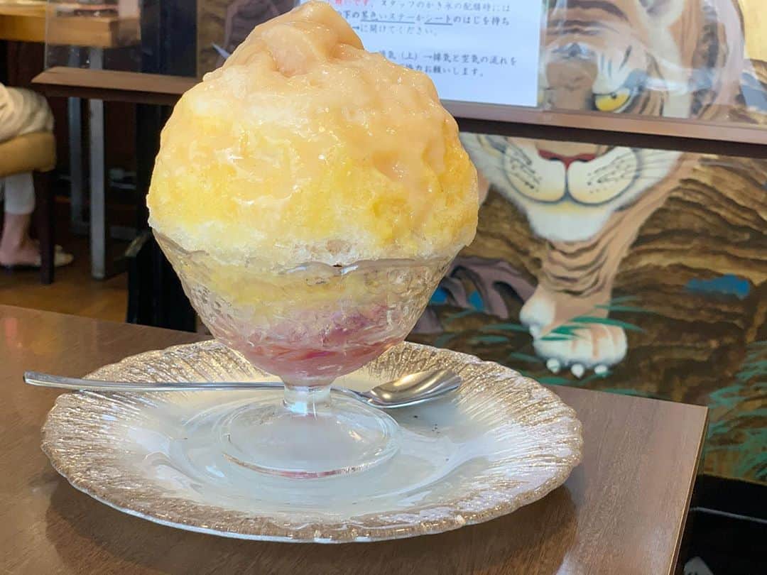 原田麻子さんのインスタグラム写真 - (原田麻子Instagram)「さくらんぼともも  好きすぎる組み合わせで何度でも食べたいんだよ… 中にはアメリカンチェリーのコンポート、上にはもものコンポート。ちょうどよく実がはいってて最高に美味しい  #かき氷#かき氷🍧#おやつ#ごはん#sweets#shaveice」8月14日 12時13分 - achakoko