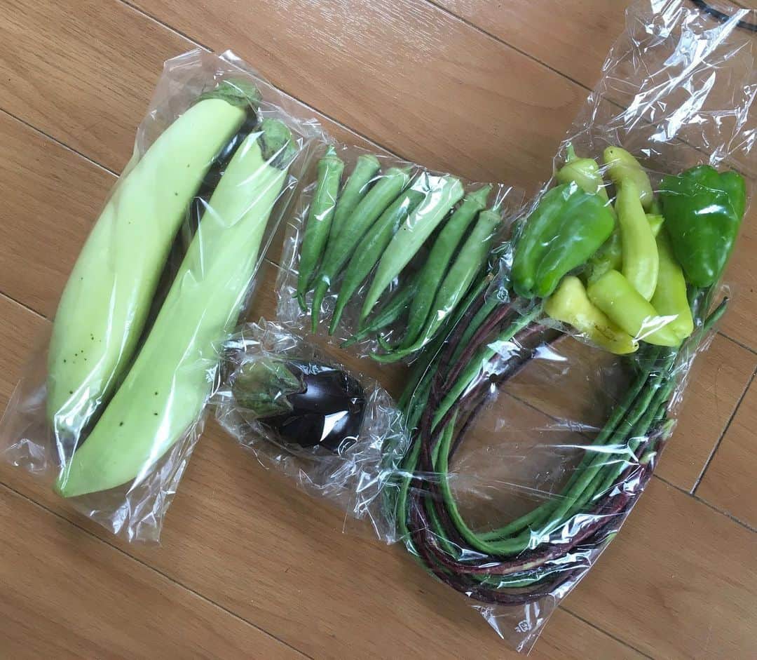 lululukululuさんのインスタグラム写真 - (lululukululuInstagram)「ネットでお野菜　購入🥒🍆 新鮮て美味しそう😊 でもこれ(2枚目)はなんでしょう？ #野菜#新鮮#ネット野菜🥦🥬」8月14日 12時19分 - tajitajicat