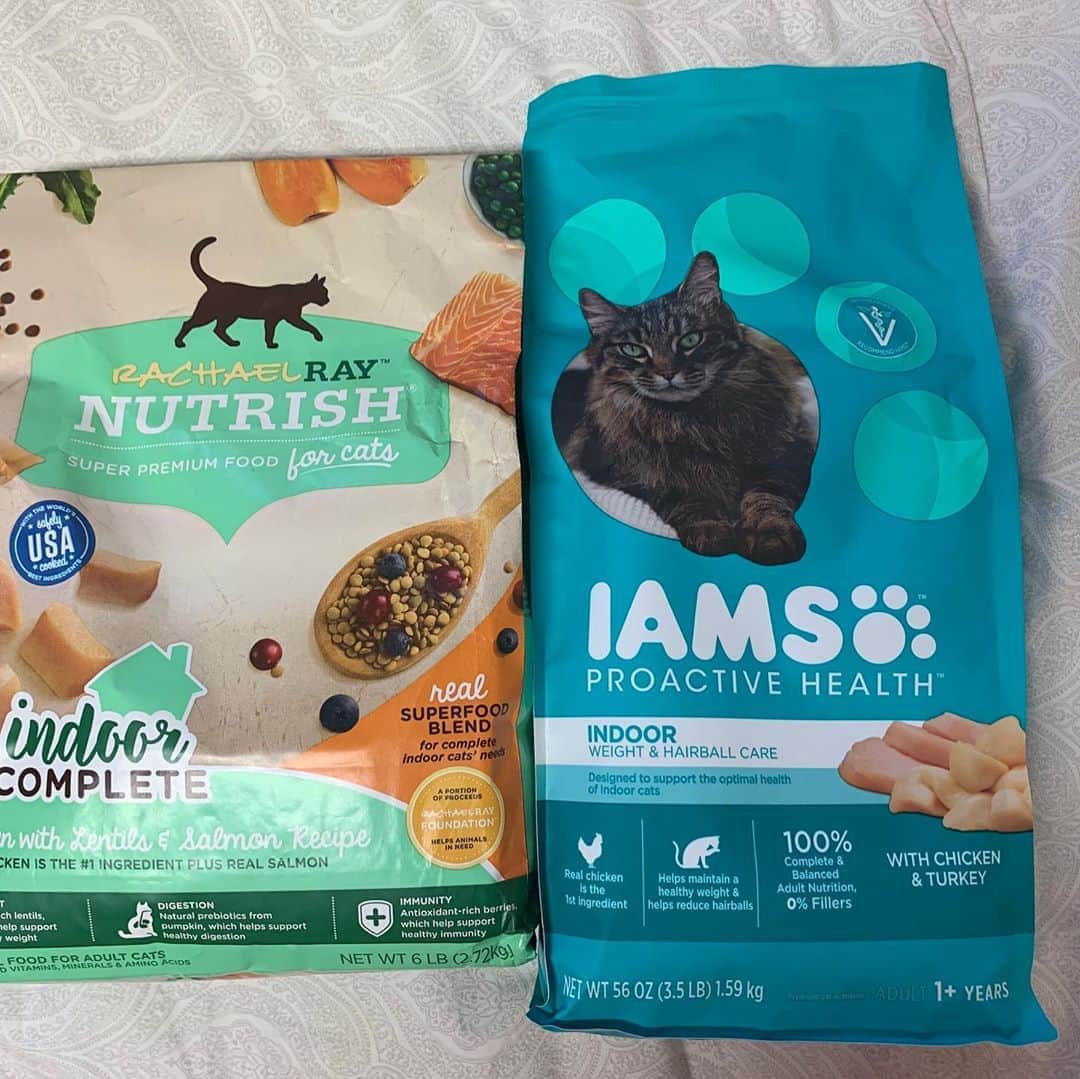 飯島寛子さんのインスタグラム写真 - (飯島寛子Instagram)「娘に猫餌を頼んだらよくリサーチして買ってきてくれる。よかったねソラくん #猫の餌　#猫のいる暮らし　#ハワイライフ #iams. #nutrish」8月14日 12時29分 - hirokoiijima