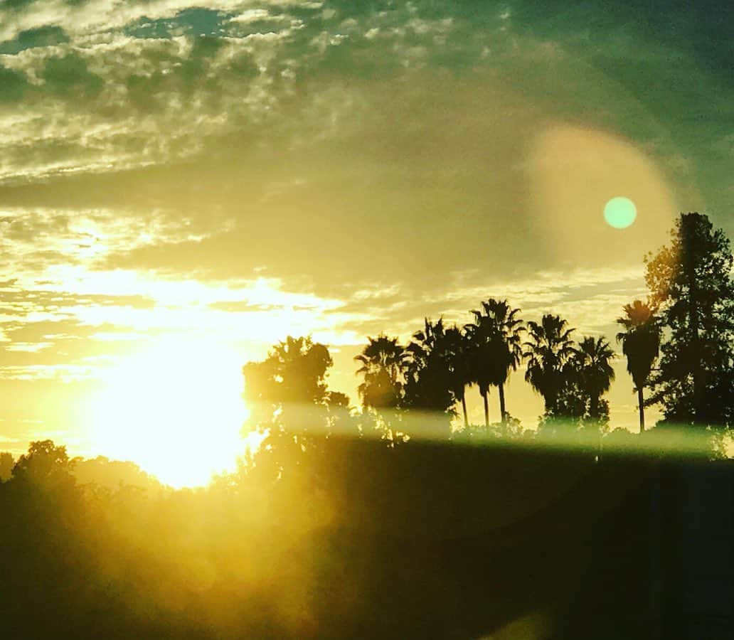 のインスタグラム：「🌴sunset🌴  #LA#sunset#lifestyle#travel #beauty #fashion #risahirako#平子理沙」