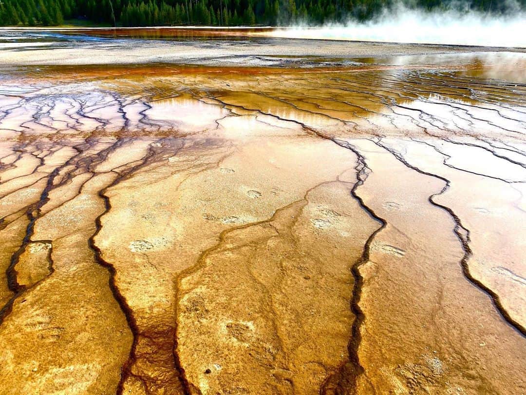 綾部祐二さんのインスタグラム写真 - (綾部祐二Instagram)「Yellowstone National Park」8月14日 13時03分 - yujiayabe