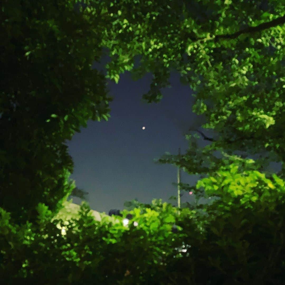 松田岳二さんのインスタグラム写真 - (松田岳二Instagram)「真夜中の帰り道に見た金星がプリファブのアンドロメダハイツみたいに感じたのはぷあかうで呑んでレオ君やてっちゃんやツネくんやカメさんやマサヤと話したかも知れないな。ロマンティック止まらなくてごめんなさい」8月15日 0時23分 - cbsmgrfc