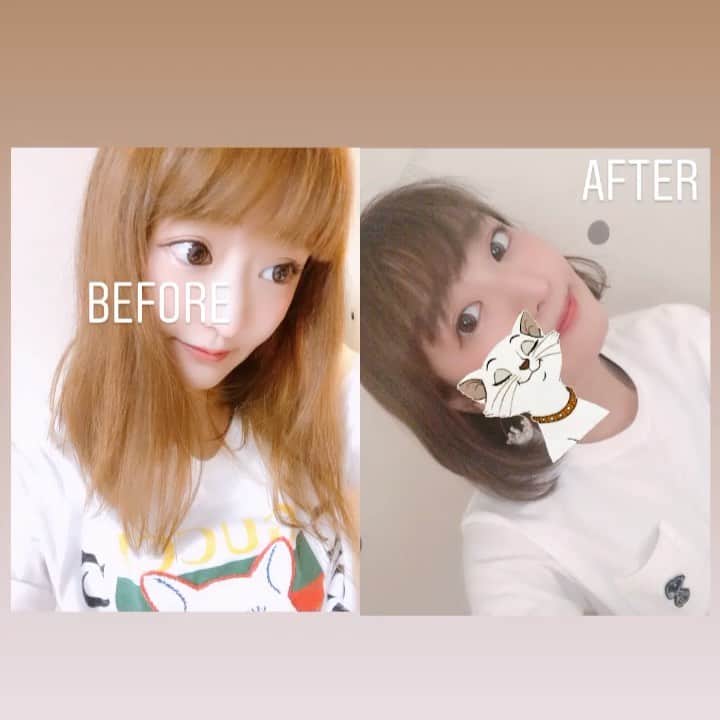 東なつ紀のインスタグラム：「いめちぇん♡ というよりは元に戻った🤗 いつもありがとうあやさん〜❣️ #freera表参道  #ヘアサロン #ボブショート #もう結婚式もこの長さでいいや👰」