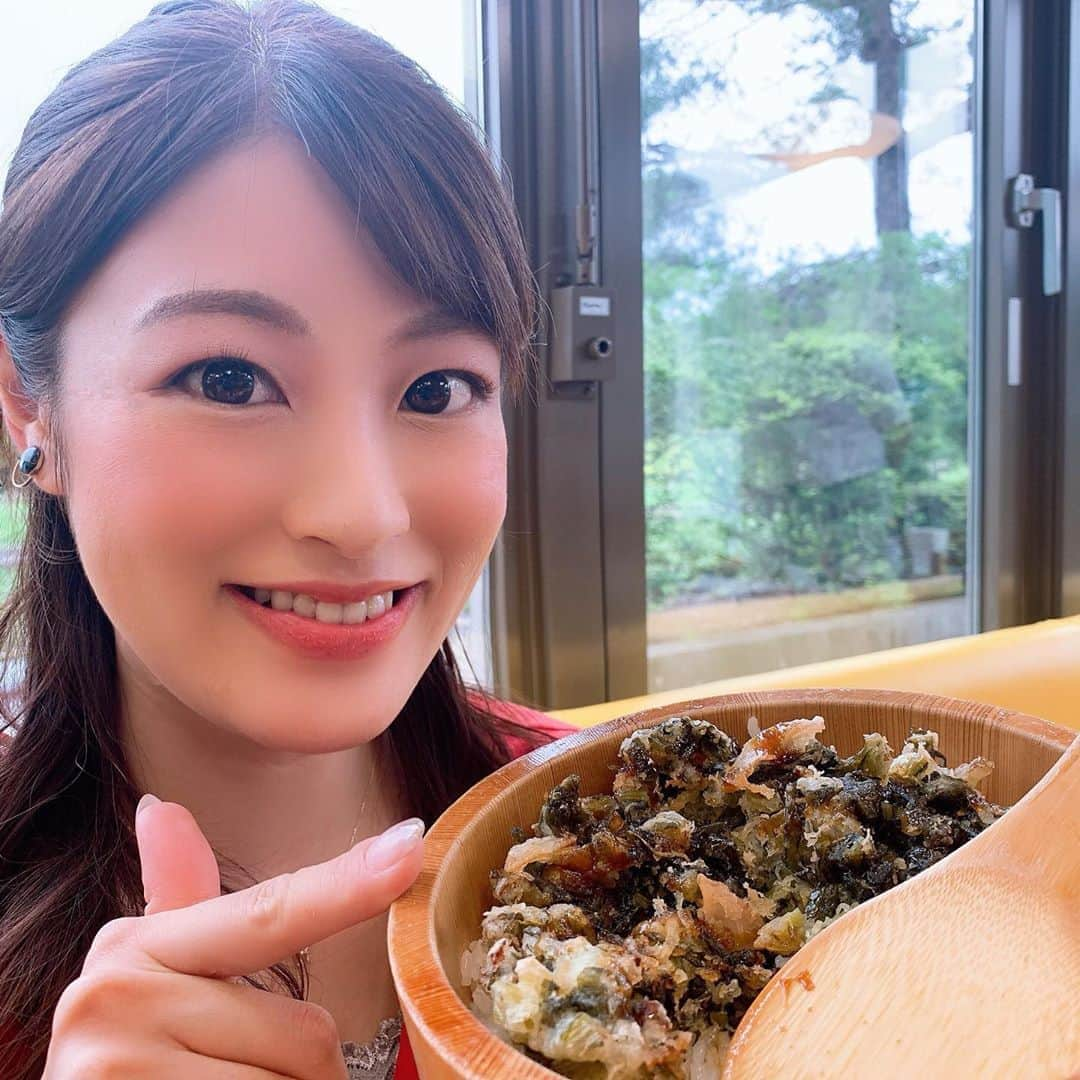 小宮山瑞季さんのインスタグラム写真 - (小宮山瑞季Instagram)「「特別な夏」帰省したくてもできない、会いたい人にも会えない寂しい気持ちを抱えている人も多いと思います。 少しでもほっとした気持ちになって頂けますように。 あすのこれダネッ！も元気いっぱいお伝えします🙌💕 特集は、サービスエリアグルメ👧🏻💗 ・ #土曜はこれダネッ #サービスエリア #サービスエリアグルメ #信州グルメ #おみやげ #おすすめ #souvenir #長野 #nagano #駒ヶ岳 #ひつまぶし #野沢菜 #コラボ ？ #愛知 #aichi #おとなりさん #特別な夏 #コロナが早く終息しますように #今できることを #長野放送 #アナウンサー #小宮山瑞季」8月15日 0時01分 - komiyama_mizuki