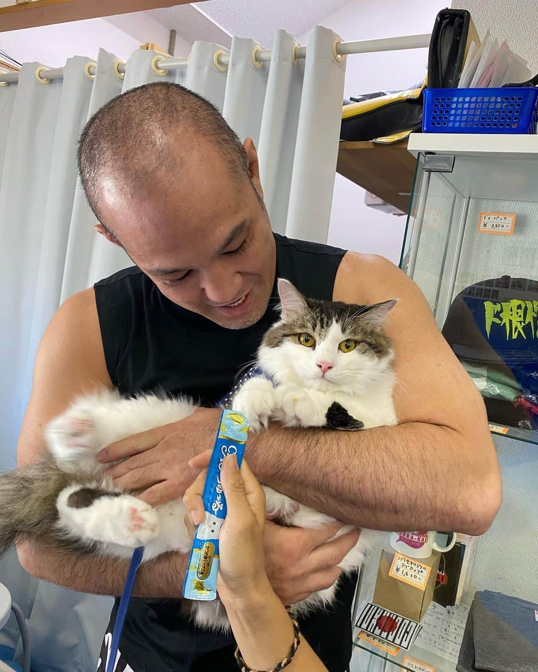 ストラッサー起一のインスタグラム：「三島さん、マヌーフさんの愛猫のヒヨコ氏と初対面。 マヌーフさんが僕に会わしてくれる為に連れてきてくれました。 チュールもペロッと食べてくれてめっちゃ可愛いかった❤️ いつかタマゴちゃんとも会ってみたいです🥰 ありがとうございました。  #猫」