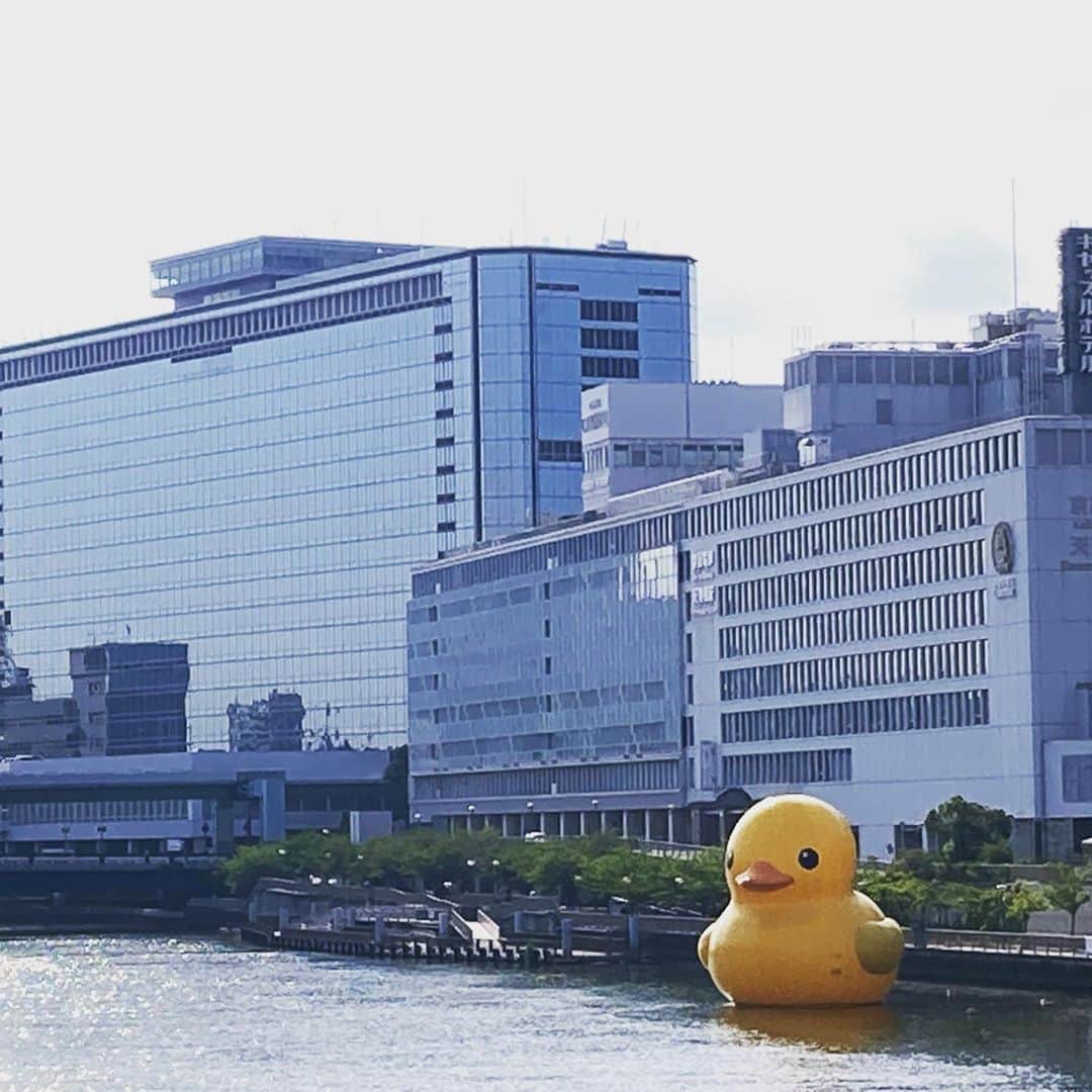 松田洋治のインスタグラム：「今朝の風景。 成長したらどんだけの大きさになるんだ？  さぁ、大阪初日です。 ABCホールにて明後日までです！  #ナイコン12人」
