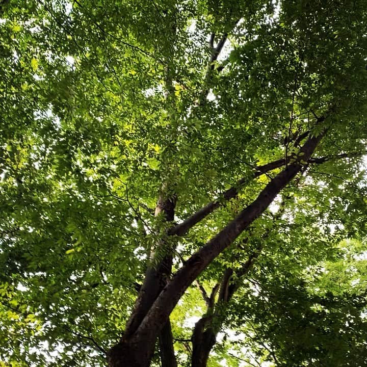浅岡雄也のグルメインスタ