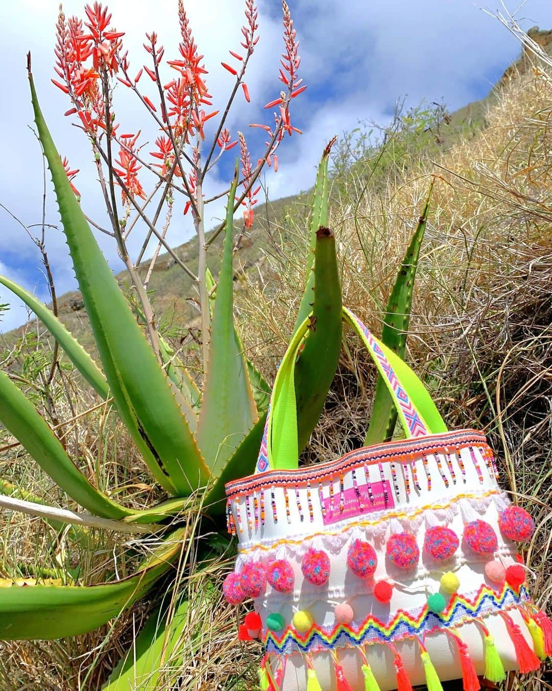 Moco Lima Hawaiiさんのインスタグラム写真 - (Moco Lima HawaiiInstagram)「Pompom Tote with the flower of Aloe  海好きだけど山も好き。 急に登りたくなって♡ アロエにお花が咲くのをご存知ですか？(私は知りませんでした😅)   #aloe#cactus#hiking#adventure#adventuretime#enjoyinglife#lovemylife#explore#challenger#activegirl#love#nature#flowers#respectnature#earth#photoshoot#photography#photooftheday#instadaily#mocolima#hawaii#luckywelivehawaii#ハイキング#探検#冒険#発見#ハワイツアー#モコリマハワイ#デザイナー#自由人」8月14日 15時53分 - mocolimahawaii