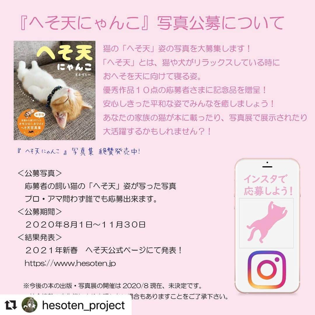 三笠書房さんのインスタグラム写真 - (三笠書房Instagram)「『へそ天にゃんこ』第二弾の写真を大募集！ あなたの愛猫が写真集に掲載されるチャンスです❣️ 11月30日まで。ぜひご応募お待ちしています。  写真の猫をタップすると、へそ天プロジェクトのインスタグラムに飛べます。  #Repost @hesoten_project with @make_repost ・・・ . . @hesoten_project 主催 『へそ天にゃんこ』写真大募集！ 　 世界初へそ天写真集『へそ天にゃんこ』は、全国書店にて発売され、猫好きの皆さまより「癒される！」と大好評をいただいております。 　 このたび、第２弾写真集の発刊を目指しまして、『へそ天にゃんこ』写真を大募集します！ 　 応募写真は、第２弾写真集に掲載されたり、写真展で展示されたりなどのチャンスがあります！！ 　 多数のご応募を心よりお待ちしております！　猫好きなお友だちにもぜひご紹介下さい！ 　 シェア・拡散大歓迎！ 　 　 ☆公募内容は、本記事の写真２〜４ページをご覧ください。  ★複数枚のご応募も可能です。 ★１回の投稿に複数枚の掲載も可能です。  　 ☆詳細は「へそ天プロジェクト公式ページ」　 https://www.hesoten.jp  をご覧下さい！ （プロフィールよりリンクしています。） 　　 ☆『へそ天にゃんこ』写真集　大好評発売中！  #へそ天にゃんこ写真集に載りたいにゃ」8月14日 16時08分 - mikasashobo