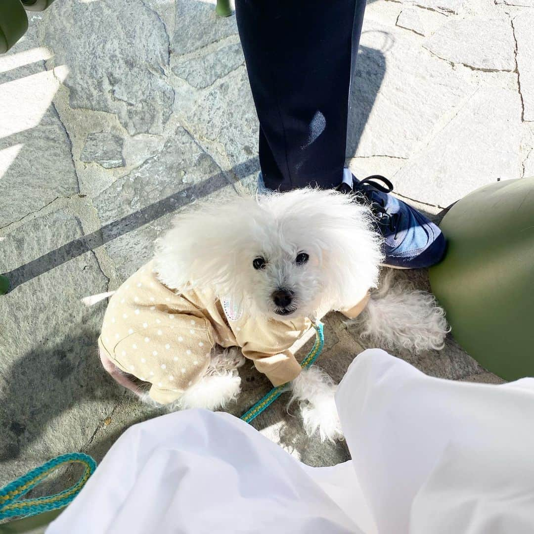 稀鳥まりやさんのインスタグラム写真 - (稀鳥まりやInstagram)「・ ・ クイーンズランド州は今日から三連休です。 とても良いお天気なのでテラス席でランチしましたよ😊✨ 日差しが顔を直撃してますが、気持ち良いから気にしない😂👍 お天気の良い日は外に座らないと勿体ない❣️ ・ ・ #calilehotel #lobbybar」8月14日 16時34分 - mariya_kitori