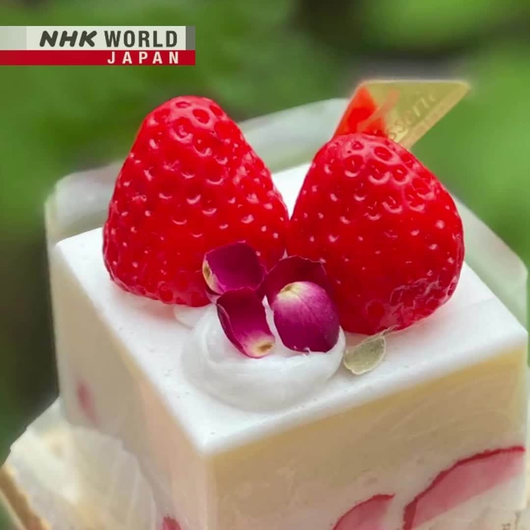 のインスタグラム：「🍰If this looks too good to eat, then you’re right! It’s (delicious-looking) soap!🍓🧼 . 👉Learn how to make it｜Search｜Kawaii International: Stay at Home Kawaii - Happier When It's Handmade｜Free On Demand｜NHK WORLD-JAPAN website.👀 . 👉Tap the link in our bio for more on the latest from Japan. . . #soapmaking #makesoap #soap #handmadesoap #soapmaker #soaplove #strawberryshortcakesoap #KinoshitaKazumi #dessertsoap #sweetsoap #cutesoap #washyourhands #cooljapan #stayhome #stayhomekawaii #kawaii #kawaiihome #kawaiicute #discoverjapan #madeinjapan #japan #mishajanette #rinrindoll #KawaiiInternational #StayAtHomeKawaii #nhkkawaii #nhkkawaiiinternational #nhkworld #nhkworldjapan #nhk」