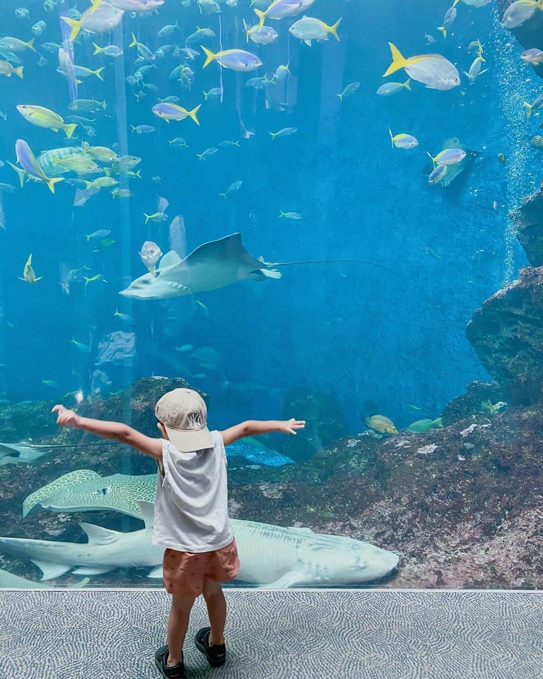 中川珠里さんのインスタグラム写真 - (中川珠里Instagram)「. ずっと行きたがっていた 久しぶりの水族館。  ニモパラダイスに大興奮でした🧡🧡  わたしも楽しかったな〜☺️」8月14日 17時20分 - juri1104