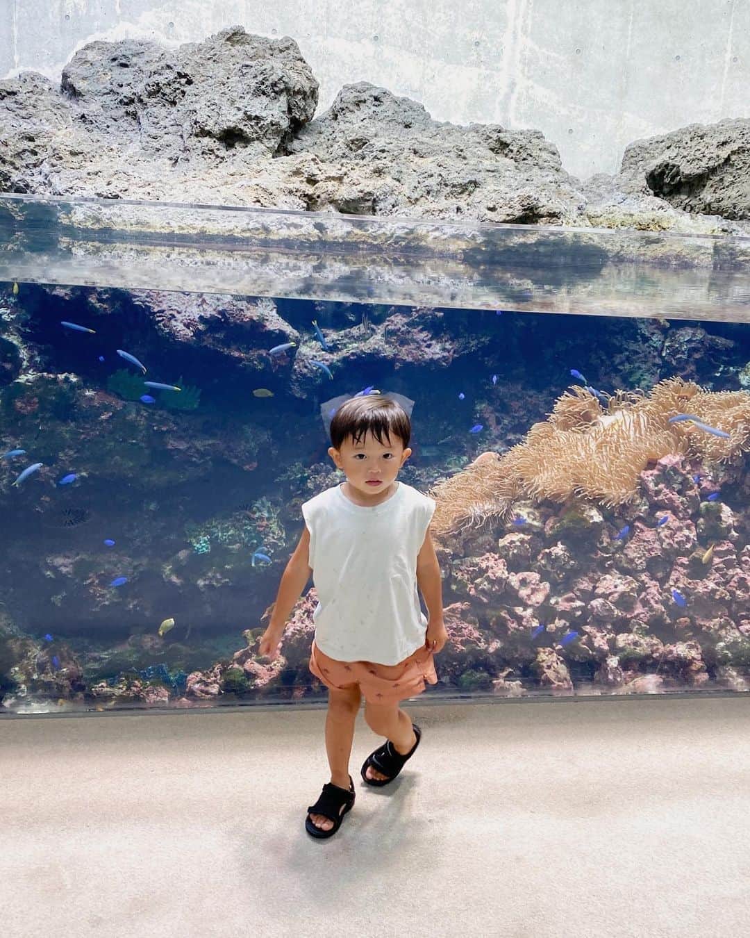 中川珠里さんのインスタグラム写真 - (中川珠里Instagram)「. ずっと行きたがっていた 久しぶりの水族館。  ニモパラダイスに大興奮でした🧡🧡  わたしも楽しかったな〜☺️」8月14日 17時20分 - juri1104