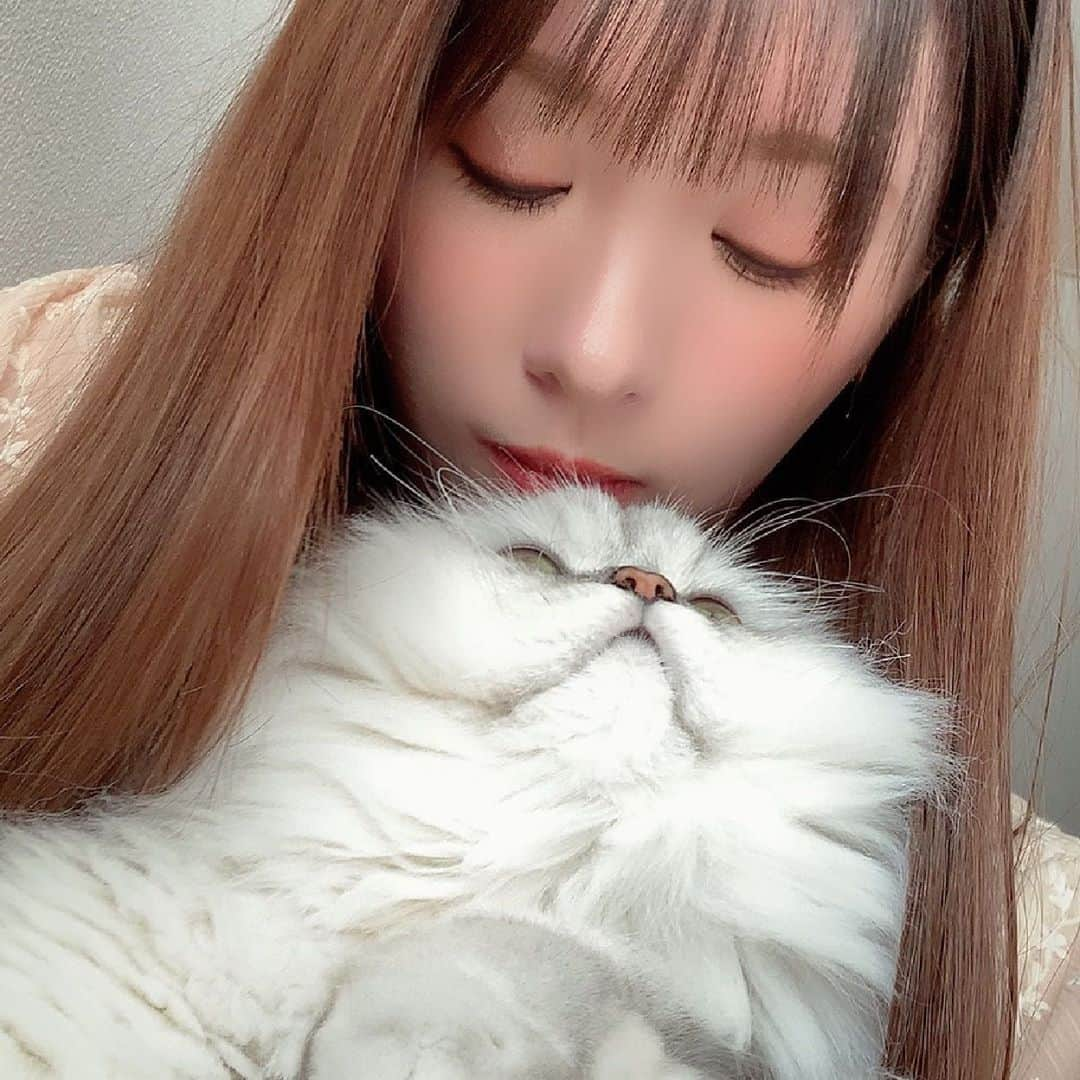 河西美希さんのインスタグラム写真 - (河西美希Instagram)「じいやと☻」8月14日 17時20分 - mikipon1111