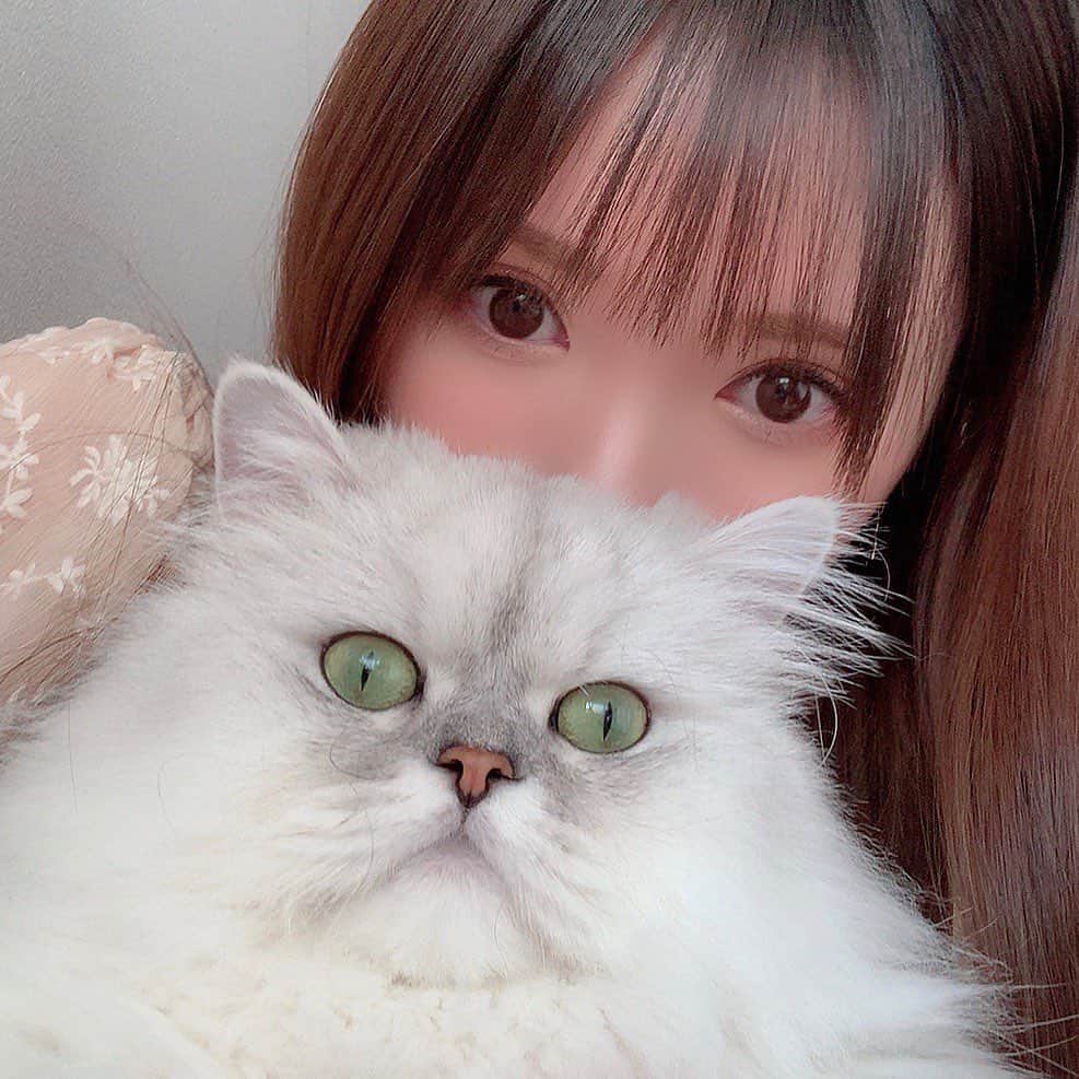 河西美希さんのインスタグラム写真 - (河西美希Instagram)「じいやと☻」8月14日 17時20分 - mikipon1111
