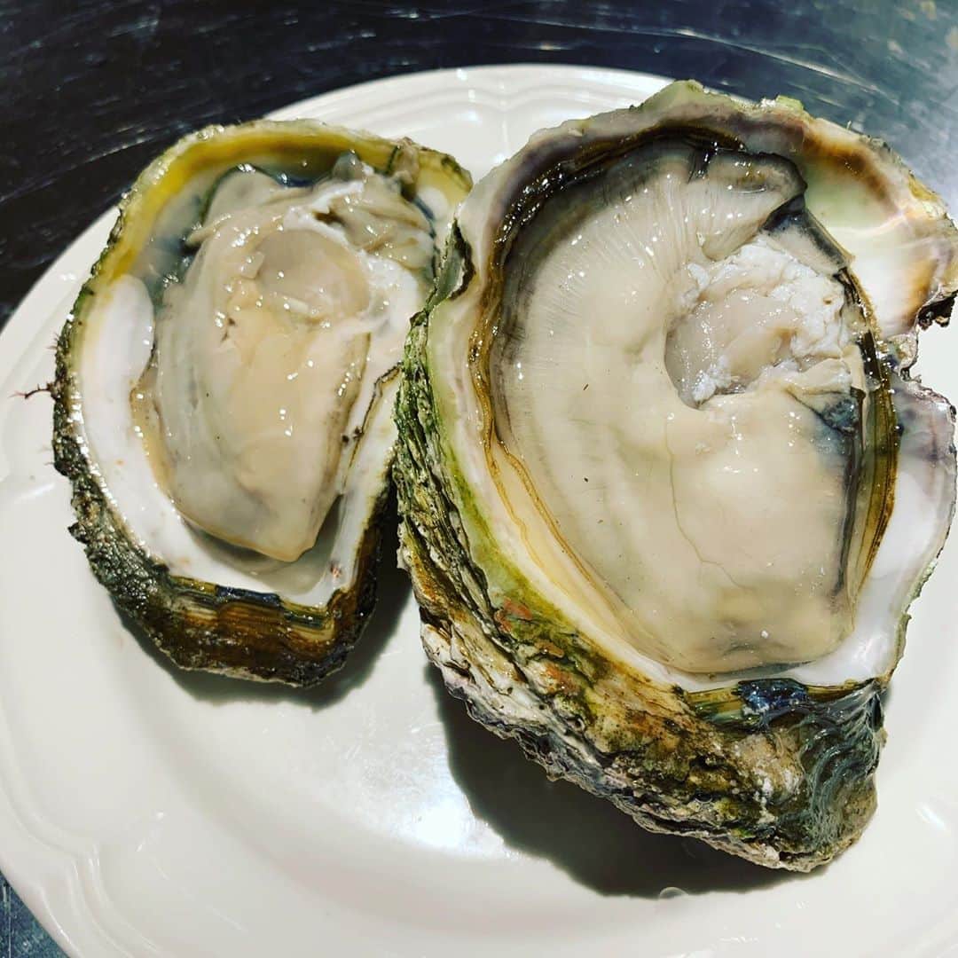 魚金さんのインスタグラム写真 - (魚金Instagram)「魚金では各店舗のマネージャー達が 自分の好みや料理に合わせて お酒のセレクションしています  本日は横浜鶴屋町 マグロバンクセレクションワイン  思わずラベル買いしたくなる1本 カーサ ロホ　ムッソ シャルドネ　 オーガニック  蟹のラベルが特徴の単一品種オーガニック・ワイン。  金色にきらめく、いきいきとした淡いイエロー。リンゴ、モモ、トロピカルフルーツの甘い香り。  ソフトでフレッシュな口当たりで、後味さわやか。シャルドネ100%   夏の定番大ぶりでクリーミーな 岩牡蠣と合わせたら最高です！  #横浜グルメ #ワイン好きな人と繋がりたい #ワインに合う料理 #ワインのある暮らし #マグロバンクウオキン #cial横浜#牡蠣 #winelover #oyster #魚金#日本酒#sakestagram#居酒屋 #魚好きな人と繋がりたい #牡蠣好き」8月14日 17時54分 - uokin_koho