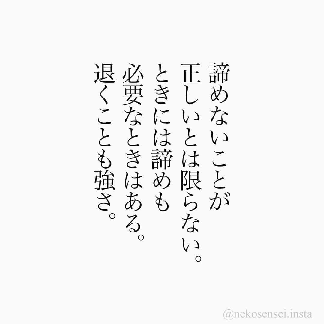 ユメネコ 哲学者さんのインスタグラム写真 ユメネコ 哲学者instagram 諦めたら試合終了ですよ は正しいのですが 諦めてもいい試合も人生にはあるのです 名言 格言 今日の格言 言葉 ことば 言霊 言葉の力 自己啓発 人生 生き方 生きる 悩み