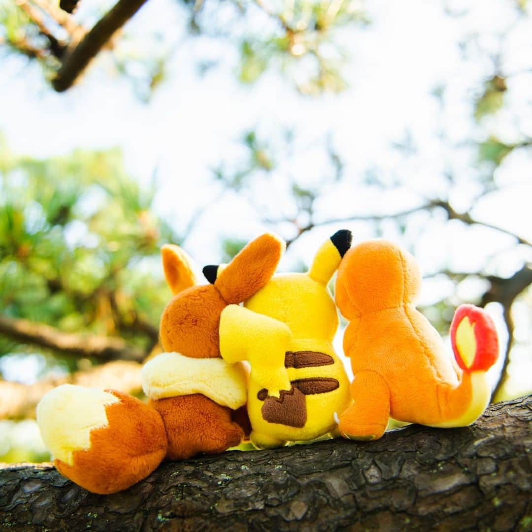 ピカチュウ公式Instagramのインスタグラム
