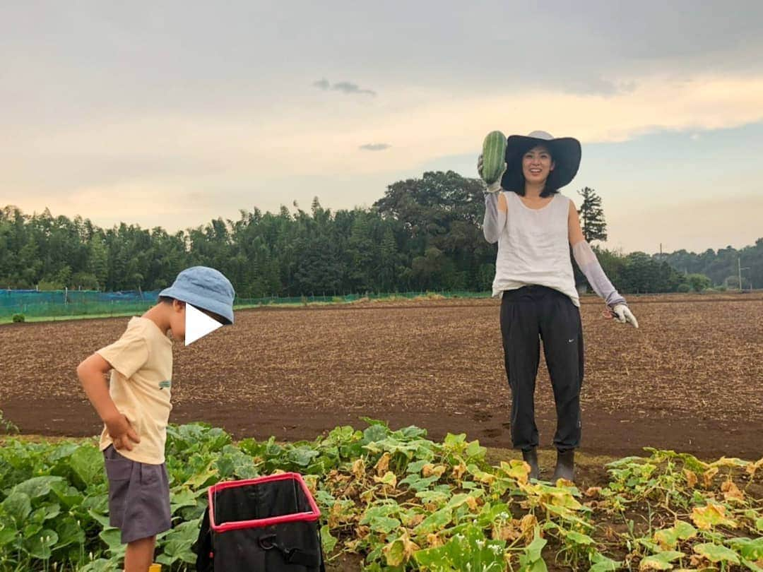 本仮屋リイナさんのインスタグラム写真 - (本仮屋リイナInstagram)「ウリを見ると、アナウンサー研修で練習した早口言葉「瓜売りが瓜売りに来て瓜売れず売り売り帰る瓜売りの声」を思い出します🥒 週に１回この量のウリ類をもらうので、朝も昼も夜もおやつもウリきゅうり🥒 昨晩、夫がウリ科ギブアップ宣言。 どなたか美味しい食べ方、調理法ご存知でしたら、教えてください🙇 #瓜きゅうりどっさリイナ #母の畑🥒 #畑 #畑のある暮らし #きゅうり #うり #アナウンサー」8月14日 18時12分 - riina_motokariya