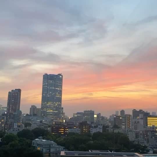 クリスティン・ウェイのインスタグラム：「Beautiful Tokyo #tokyolife #beautiful #sunset #nature #citylife」