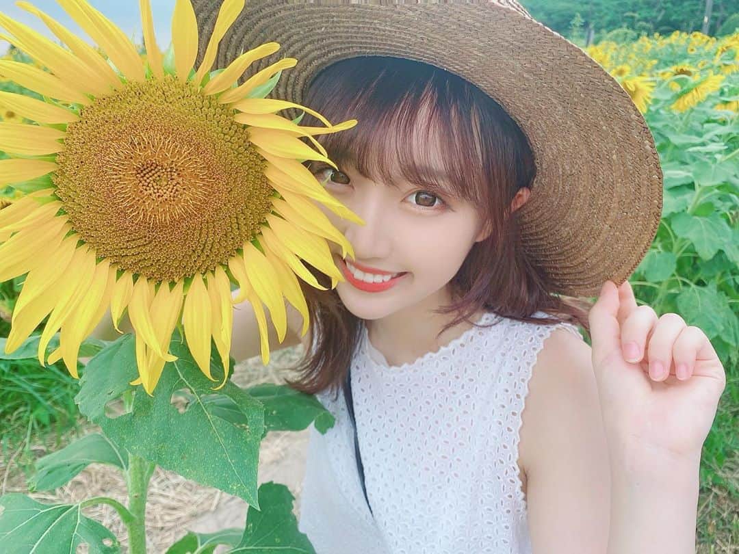 のインスタグラム：「ひまわりとまりあ🌻  #ひまわり#ひまわり畑  #愛知牧場#日進市  #日進#愛知観光 #ひまわりイエロー」