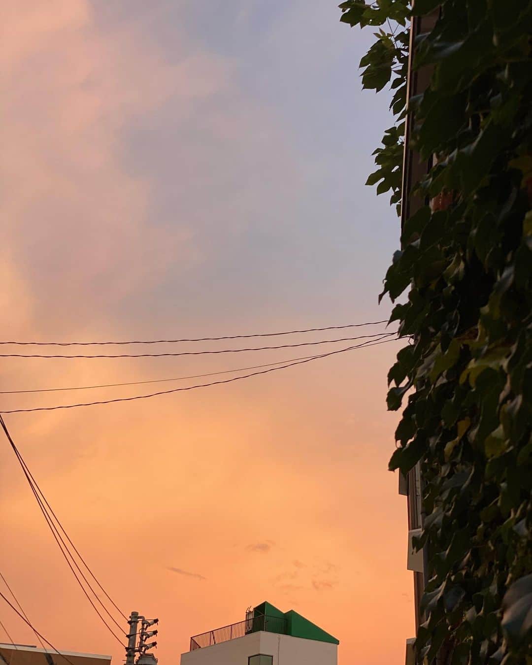 柴田紗希さんのインスタグラム写真 - (柴田紗希Instagram)「今から15分くらい前の昨日の空☺️ 優しい♡ ありがとう♡ な空でした」8月14日 18時45分 - shibasaaki