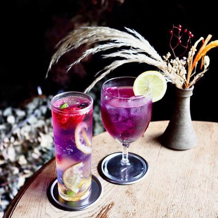 Beaustagrammerのグルメインスタ