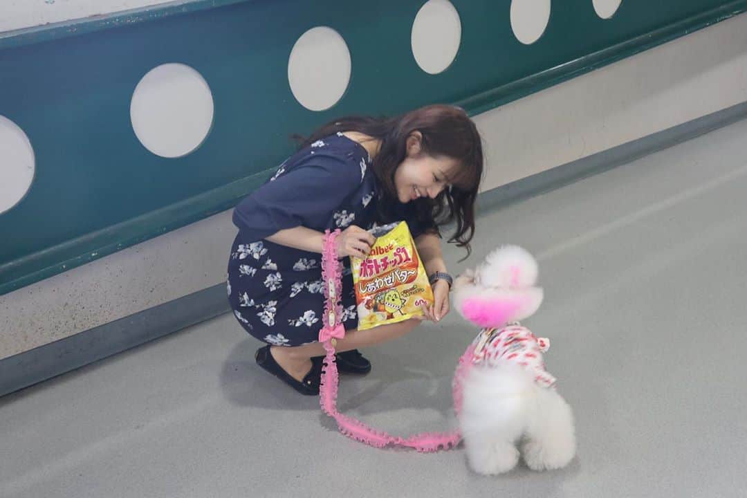 のインスタグラム：「‪【#しあわせバター】‬  「バター」「はちみつ」「パセリ」 「マスカルポーネチーズ」の 4つの素材を合わせた、  4あわせ(しあわせ)バター味🧈 ほんのり あまじょっぱい🥔  #カルビー #calbee #ポテトチップス #ポテチ  ‪#駄菓子アナウンサー‬ ‪#駄菓子屋 #駄菓子女子 ‬ ‪#駄菓子 #日本駄菓子協会 #公認‬  ‪#HAP #horipro‬ ‪#田中めぐみ #アナウンサー‬ ‪#ホリプロ #ホリプロアナウンス室‬」