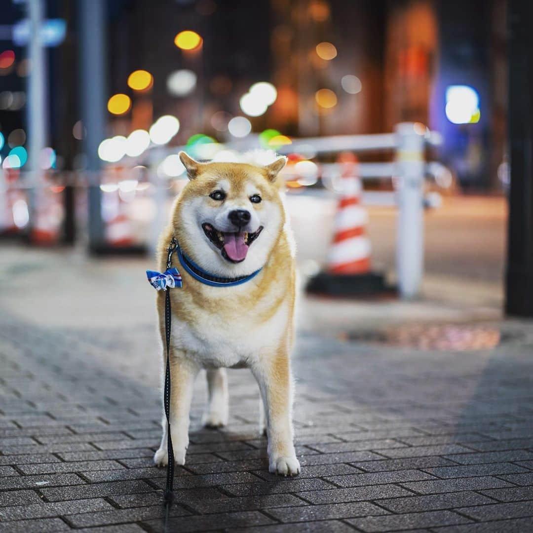 まる（まるたろう）のインスタグラム