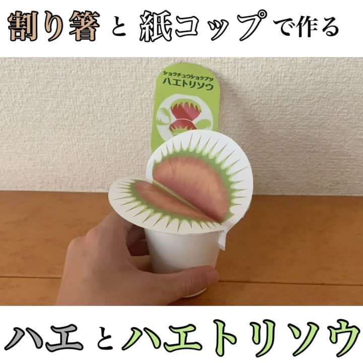 しんらしんげのインスタグラム