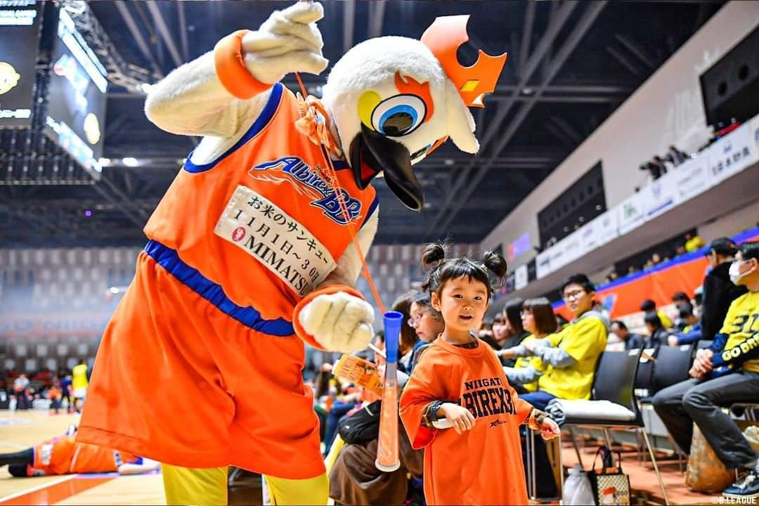 B.LEAGUEさんのインスタグラム写真 - (B.LEAGUEInstagram)「.﻿ 子どもも笑顔になる#Bリーグ観戦 😊📣﻿ ﻿ ※写真は2019-20シーズン﻿ #名古屋ダイヤモンドドルフィンズ #名古屋 #安藤周人 #琉球ゴールデンキングス #琉球 #並里成 ﻿#新潟アルビレックスBB #新潟 #レバンガ北海道 #北海道 #川崎ブレイブサンダース #川崎 #子ども #子どものいる暮らし #子どもの日常をもっと写真に #キッズフォト #kids #baby #マスコット #キャラクター #キャラ #BLEAGUE #Bリーグ #バスケットボール #basketball #BREAKTHEBORDER」8月14日 20時00分 - b.league_official