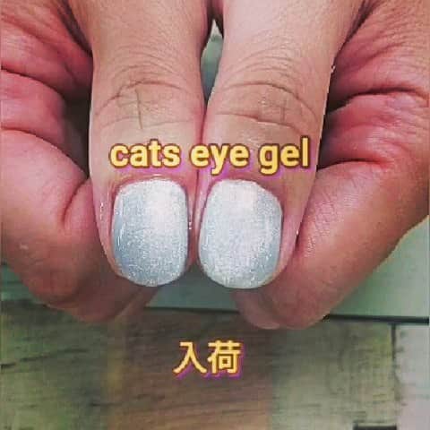 ネイル アイ サロン スグネのインスタグラム