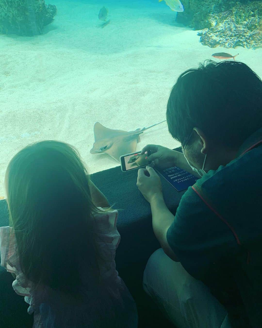 坂本美雨さんのインスタグラム写真 - (坂本美雨Instagram)「野崎くん @damienzombie とめぐったサンシャイン水族館。 さりげなく、いろんなことを教えてくれる。  母娘でハマっている「モアナと伝説の海」に出てくるおばあちゃんのエイに会いたくて。  いいなぁエイは。 いつまででも見つめちゃう。 裏がわ、ちょっとへんなとこもいい。 . 先日の #今日のなまこちゃん #野崎くん」8月14日 21時01分 - miu_sakamoto