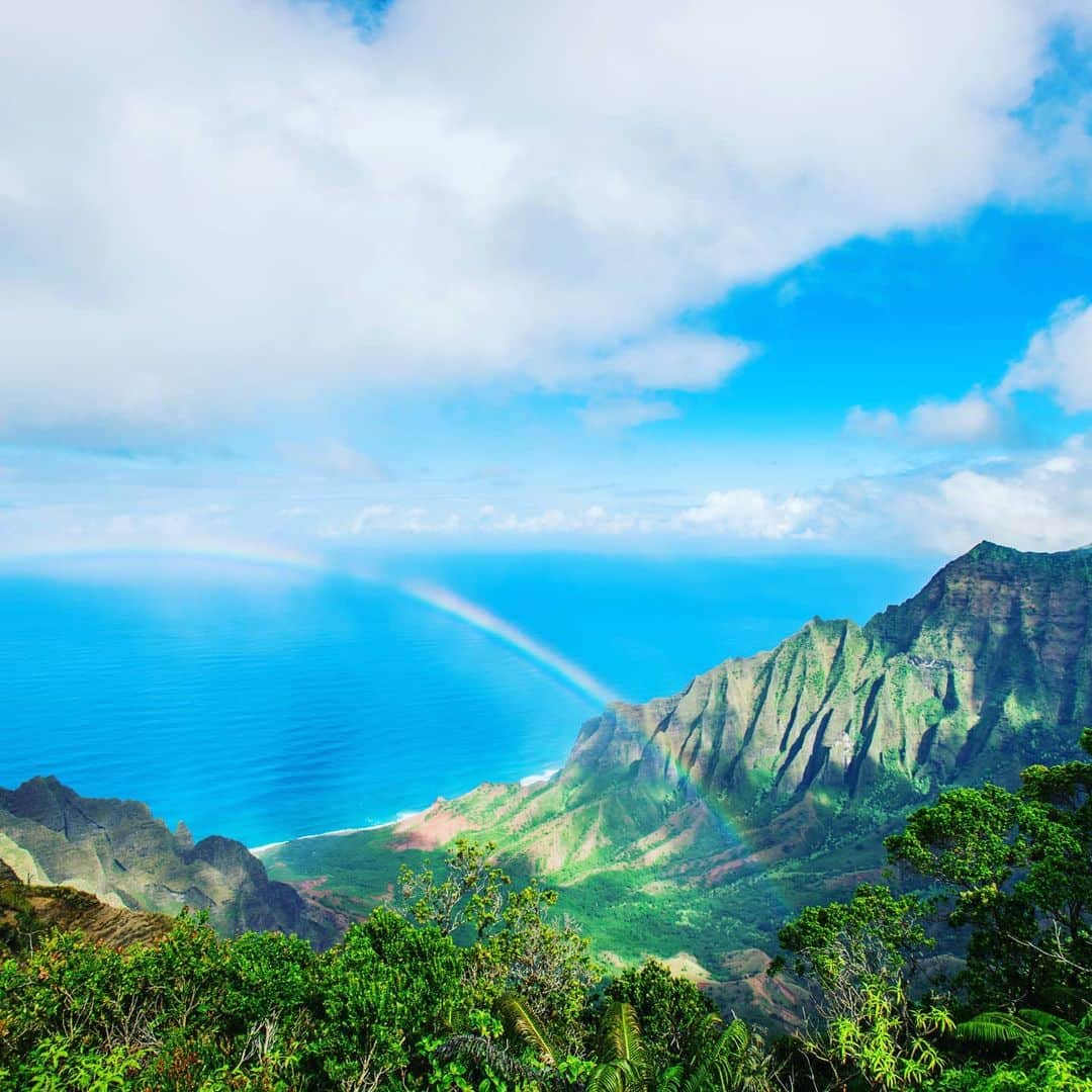 Instagenic Hawaiiさんのインスタグラム写真 - (Instagenic HawaiiInstagram)「Aloha🌺  ハワイといえば、虹🌈 虹が見えるととてもワクワクしますよね！  そんな虹がどのようにできるのか知っていますか？ 虹ができる方法が分かると、虹が探しやすくなるかも？！🤗✨  #おうちでハワイ でぜひチェックしてみてください🌺  https://m.allhawaii.jp/article/4368/  みなさんは、どんな虹をハワイでみたことがありますか？🌈🌈  #ハワイ #hawaii #ハワイ絶景 #ハワイ景色 #虹 #レインボー #rainbow #虹かけ #おうちでハワイ  #ハワイ #見たい景色 #夏休み自由研究  にどうぞ🤗✨」8月14日 21時19分 - gohawaii_jp