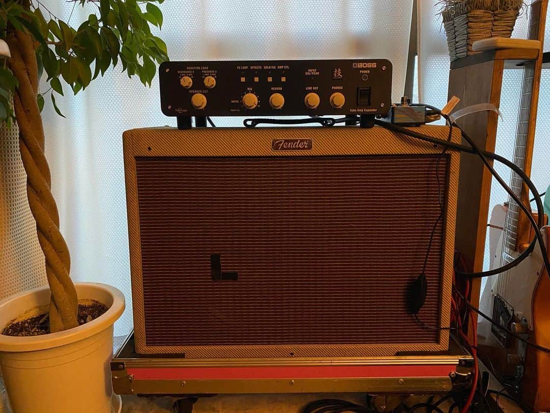 モリシーのインスタグラム：「初めてのロードボックス。 BOSSさんいつもありがとうございます！ #tubeampexpander #boss #fender」