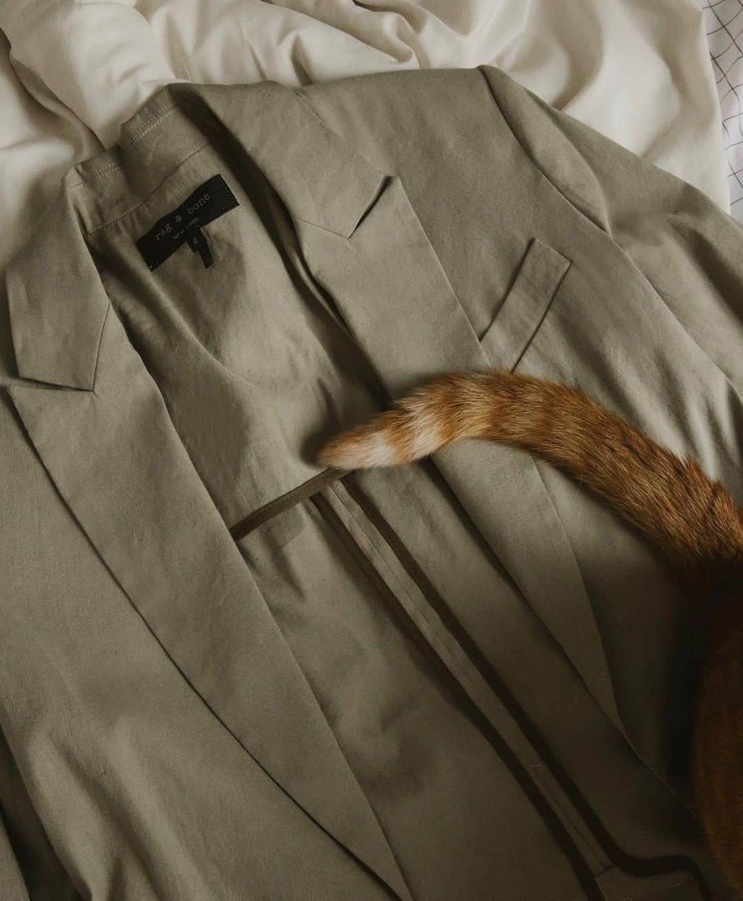 ラグ&ボーンのインスタグラム：「Catnip.」