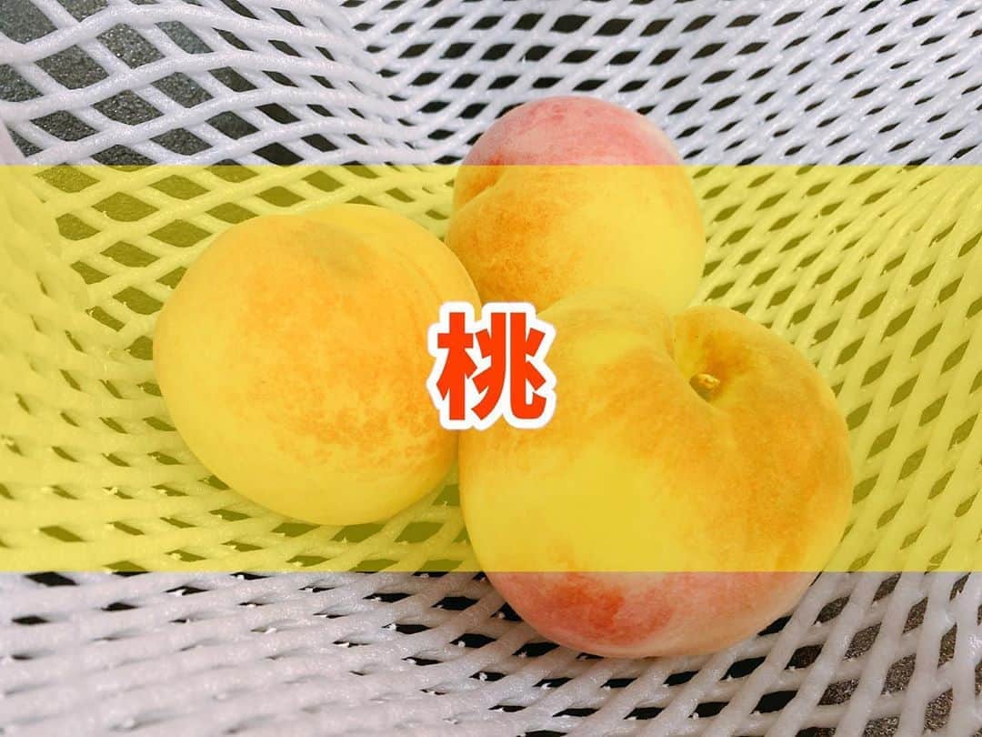 菅長愛子のインスタグラム：「もも🍑 ． お客様からお土産で頂いた桃。  桃には疲労回復や便秘予防、美肌効果などもあります🍑🍑 7〜9月が旬の果物ですので、今の時期美味しいですね😉  モッツァレラチーズと一緒に、オリーブオイルと胡椒かけて食べるのも美味しいのでオススメです✨  #ダイエット  #ダイエットメニュー  #ダイエットご飯  #ご飯  #つくりおき  #メニュー  #献立 #おうちご飯  #トレーニング女子  #血糖値  #健康  #ダイエット飯 #ヘルシー料理  #手料理  #昼ごはん  #ランチ  #晩御飯 #夜ご飯  #サラダ  #献立  #レシピ  #recipe  #ヘルシーメニュー好きと繋がりたい」