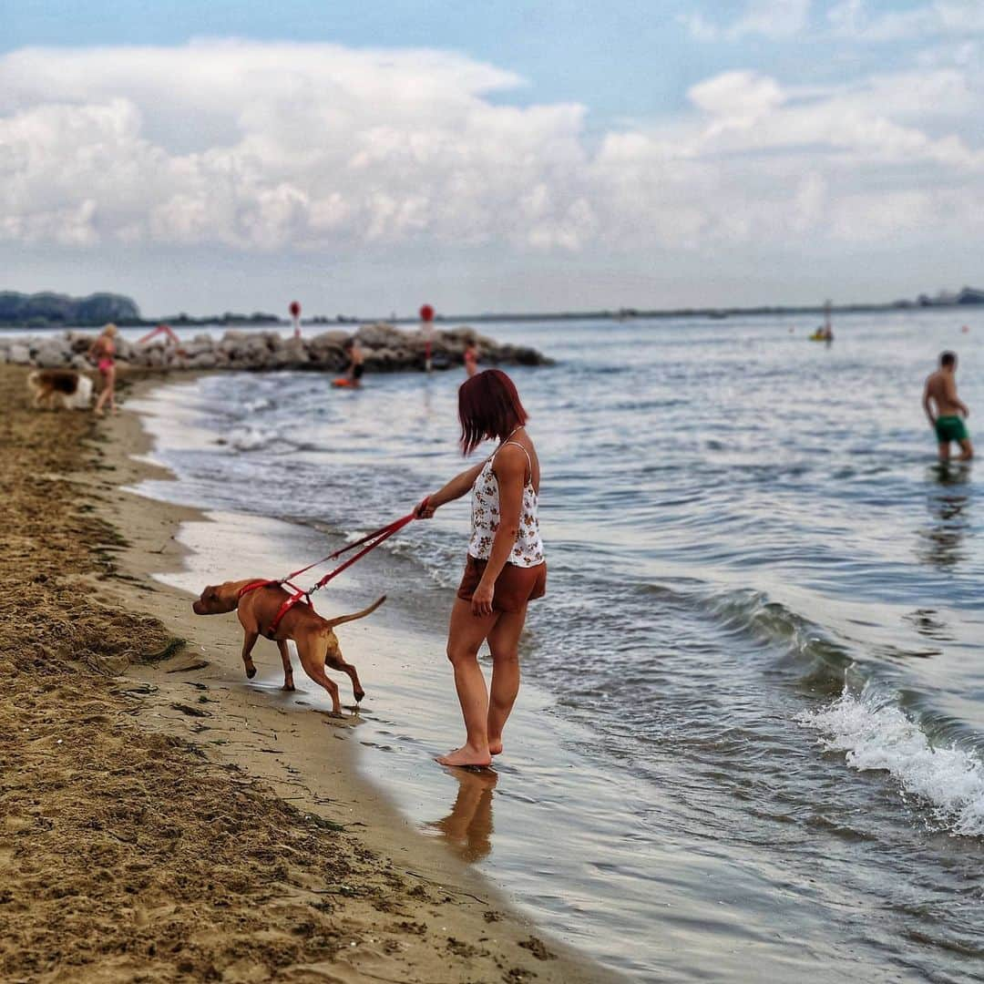 ニコーレ・デラ・モニカさんのインスタグラム写真 - (ニコーレ・デラ・モニカInstagram)「⛱️🌴🌅💙  #seaside #mare #summer2020 #estate2020 #vacanzeitaliane #lignanosabbiadoro #love」8月14日 22時16分 - nik_dellamonica