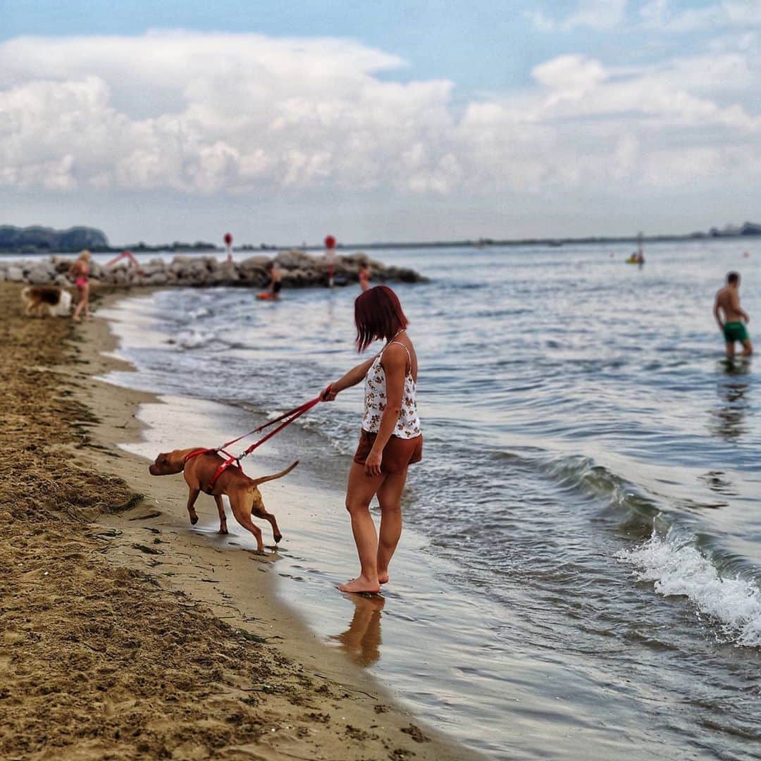 ニコーレ・デラ・モニカのインスタグラム：「⛱️🌴🌅💙  #seaside #mare #summer2020 #estate2020 #vacanzeitaliane #lignanosabbiadoro #love」