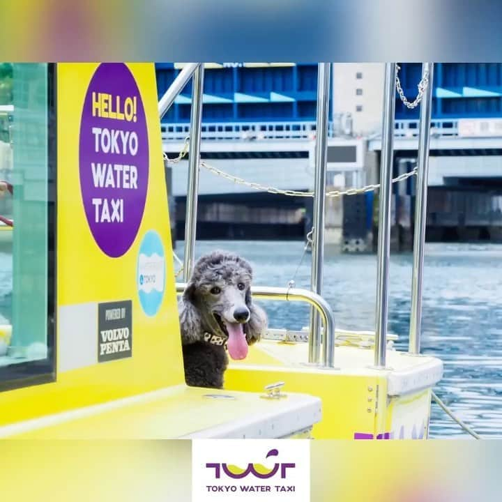 TOKYO WATER TAXIのインスタグラム