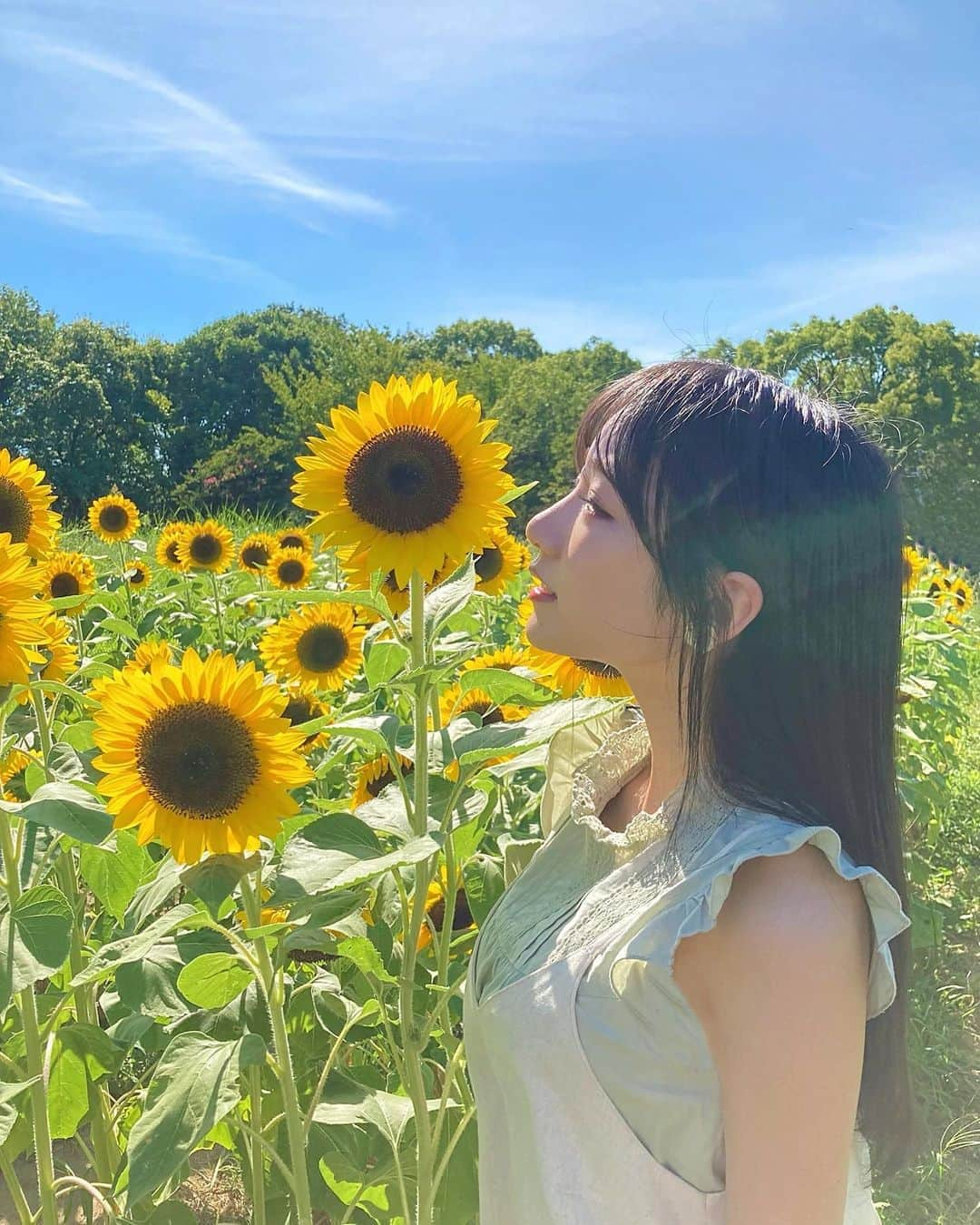 横野すみれさんのインスタグラム写真 - (横野すみれInstagram)「ずっと行きたかってん〜🌻🌻🌻﻿ ﻿ ﻿ ﻿ ひまわり畑！﻿ ﻿ ﻿ 開花シーズン終わってしまう前に﻿ 見に行けて良かった〜🌻🌻🌻﻿ ﻿ ﻿ ﻿ すみれと同じぐらいの高さなの！﻿ ﻿ すごい👀﻿ ﻿ ﻿ ﻿ 癒されたよ〜😚﻿ ﻿ みんなにもおすそ分け〜﻿ ﻿ ﻿ ﻿ ﻿ ﻿ #横野すみれ #nmb48 #鉄砲隊目指すーちゃん #ひまわり畑 #奈良県 #🌻 #flowergram #ポートレート女子 #sunflowers #해바라기」8月14日 22時24分 - yokono_sumire