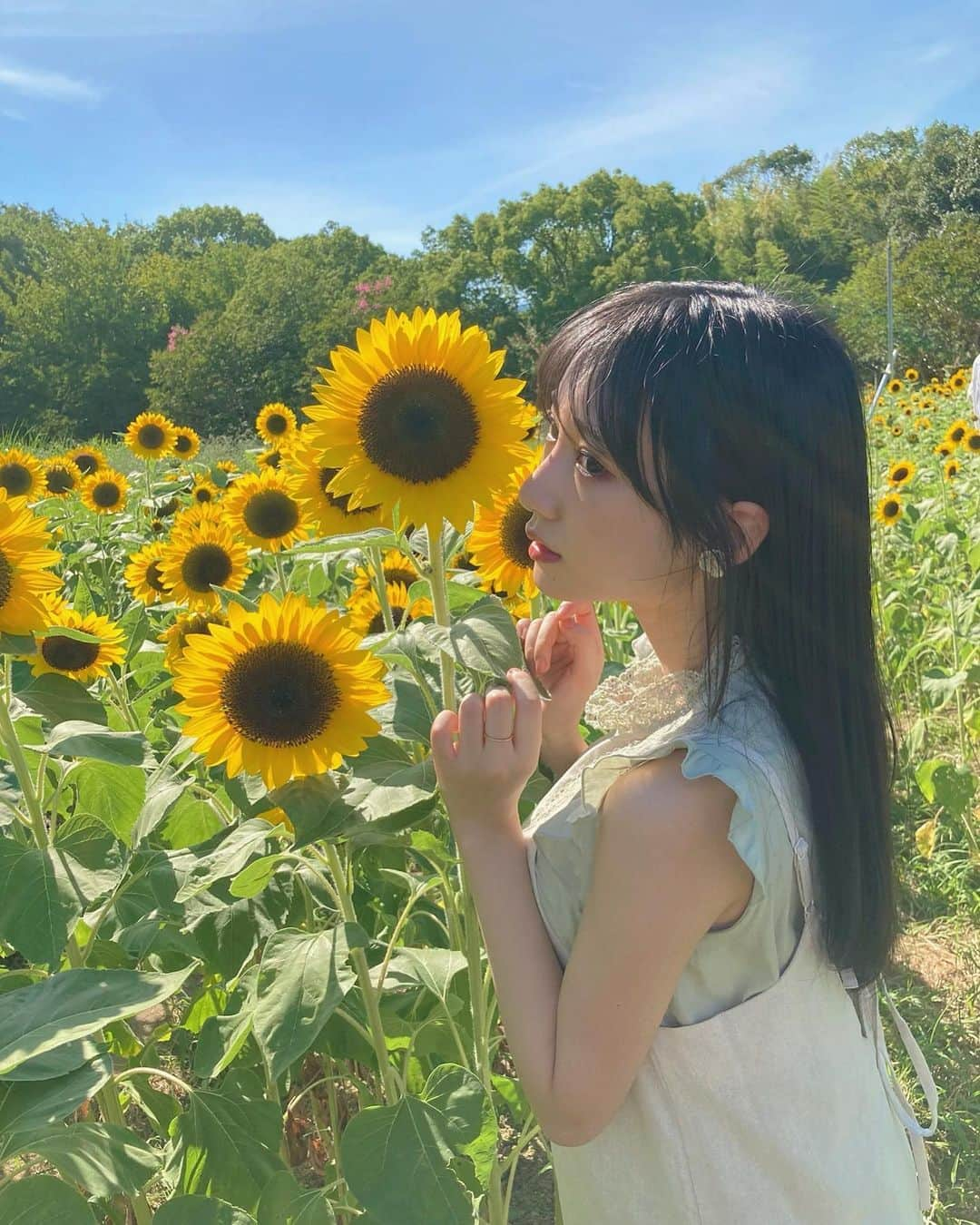 横野すみれさんのインスタグラム写真 - (横野すみれInstagram)「ずっと行きたかってん〜🌻🌻🌻﻿ ﻿ ﻿ ﻿ ひまわり畑！﻿ ﻿ ﻿ 開花シーズン終わってしまう前に﻿ 見に行けて良かった〜🌻🌻🌻﻿ ﻿ ﻿ ﻿ すみれと同じぐらいの高さなの！﻿ ﻿ すごい👀﻿ ﻿ ﻿ ﻿ 癒されたよ〜😚﻿ ﻿ みんなにもおすそ分け〜﻿ ﻿ ﻿ ﻿ ﻿ ﻿ #横野すみれ #nmb48 #鉄砲隊目指すーちゃん #ひまわり畑 #奈良県 #🌻 #flowergram #ポートレート女子 #sunflowers #해바라기」8月14日 22時24分 - yokono_sumire