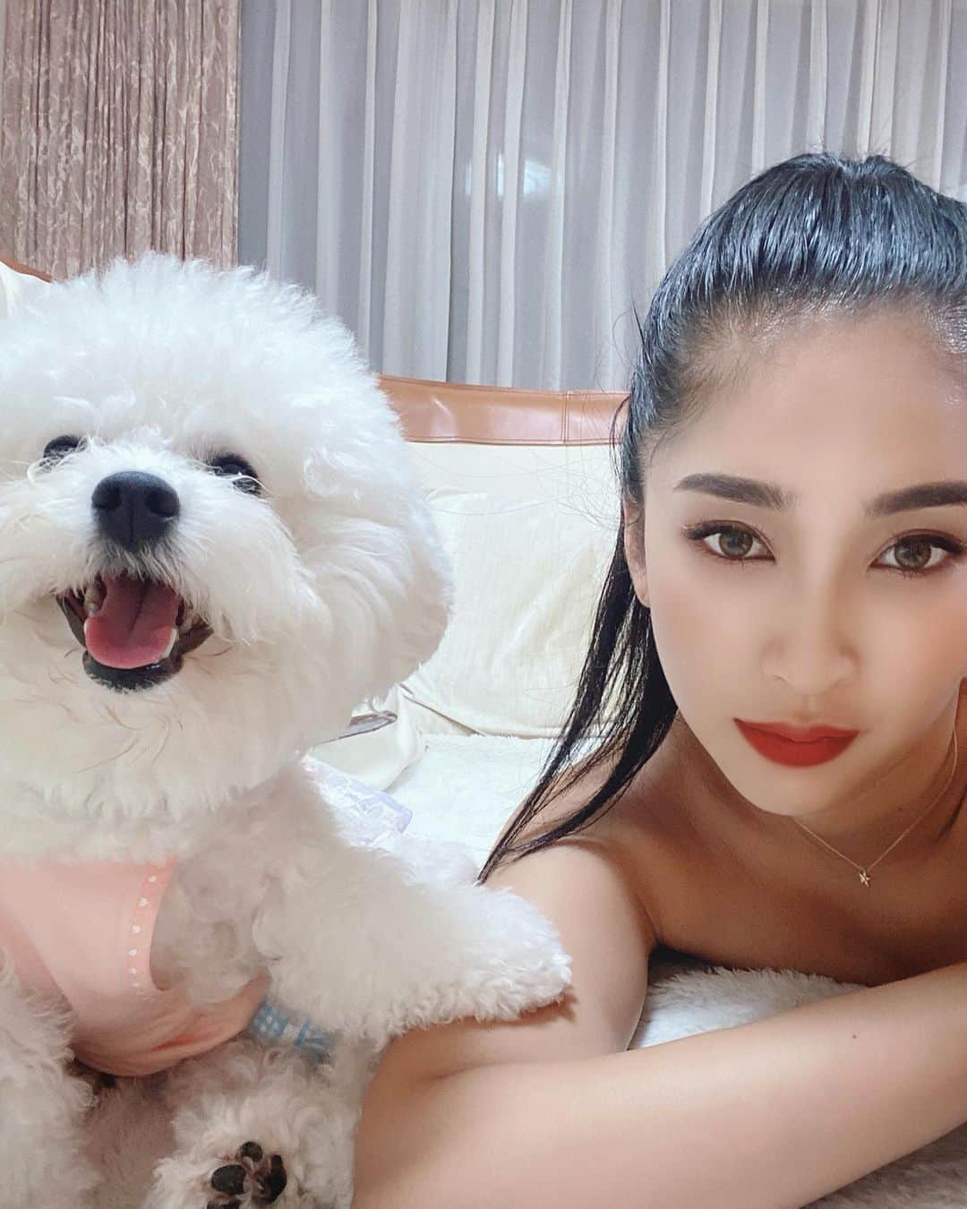 のインスタグラム：「ブヒの方が立場上みたい、、🐷前足みて🐾笑 #ブヒまり　#ブヒール　#ブヒ　#ビションフリーゼ #ドラえもん　#ビジョン　#ペット　#一歳　#癒し　#腹たつ　#メイク　#メイクアップ　#黒髪」