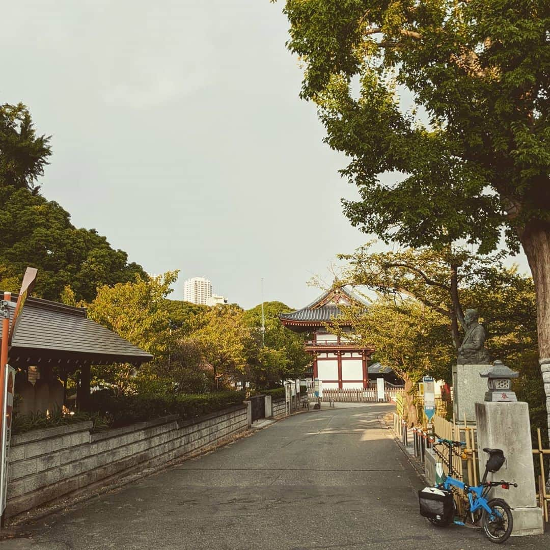 山下晃和さんのインスタグラム写真 - (山下晃和Instagram)「【BIKE】My buddy is Birdy.  #shrine #japan @birdybicycle  @pacific_cycles_japan  #birdybicycle #biketrip #小径車 #折り畳み自転車 #bicycle  #blue #tokyo #meguro #foldingbike #birdy #自転車 #trip #touring #通勤自転車 #お買い物自転車 #commuterbike #nippon #japanesetraditional #pedal #City #cityride #touring #skyblue #目的のない旅展」8月14日 22時43分 - travel_akikazoo