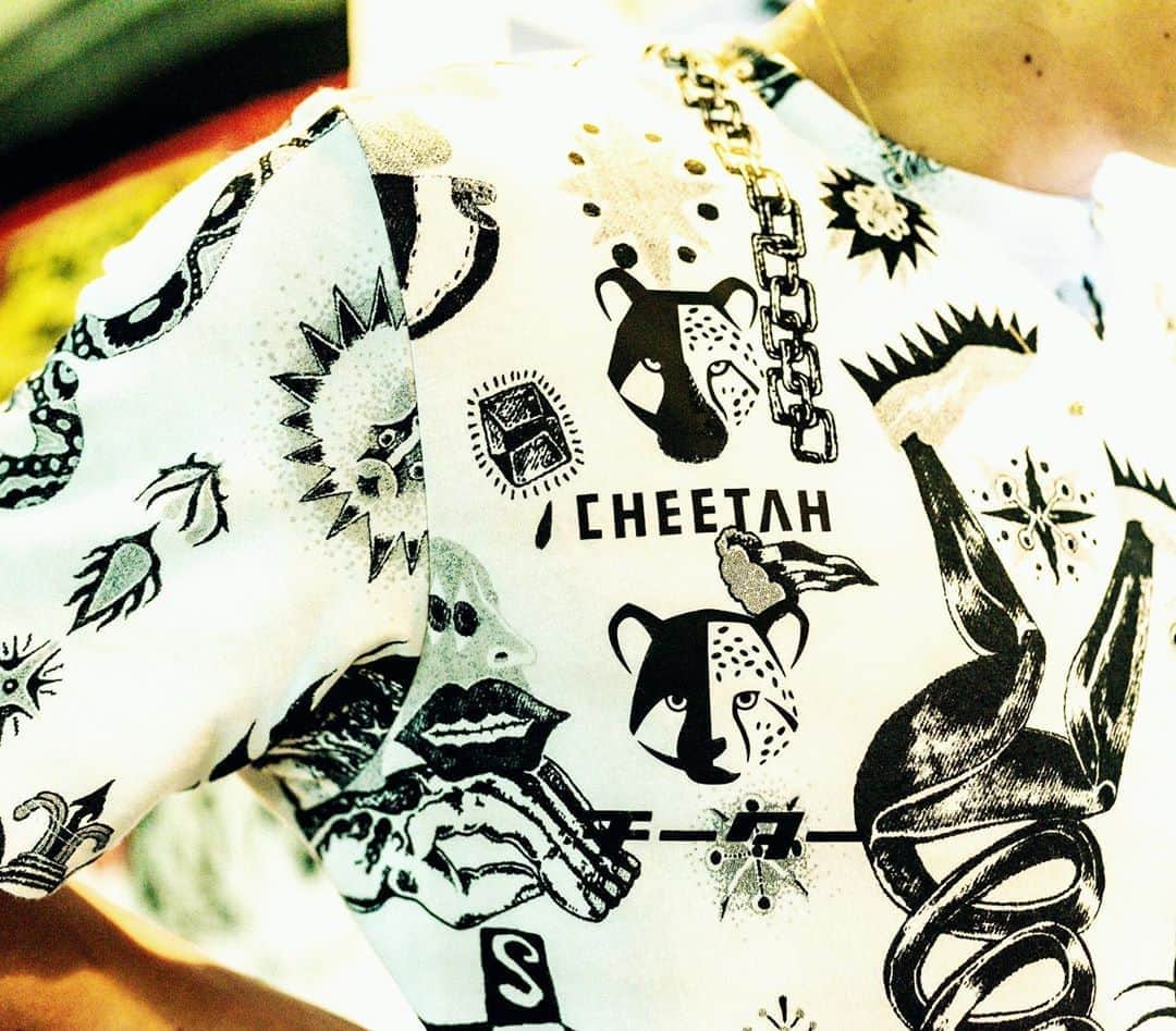 秋本真吾のインスタグラム：「#CHEETAH  #チーター」
